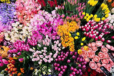 《Dota2》更新泄露 起源2引擎《CS：GO》更多细节